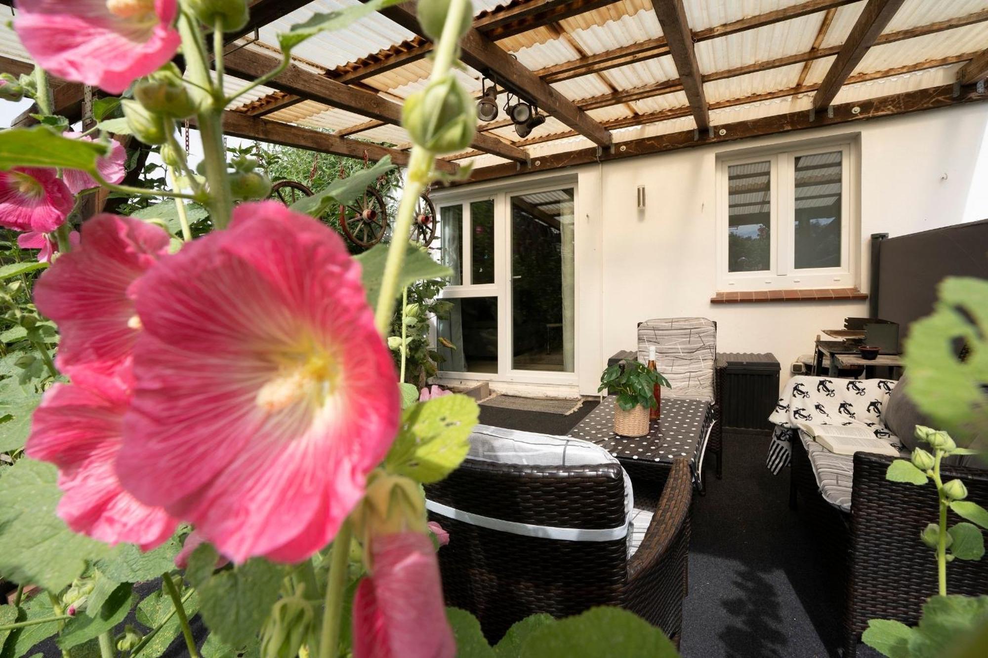 Haus Waldfrieden Ferienhaeuschen Waldfrieden Apartment ฮัฟฟ์ครูก ภายนอก รูปภาพ